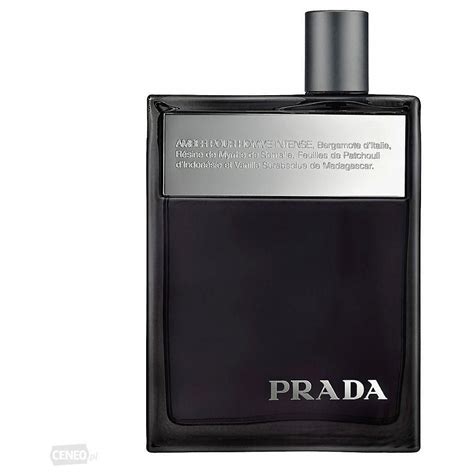 amber pour homme intense prada|does prada still make amber.